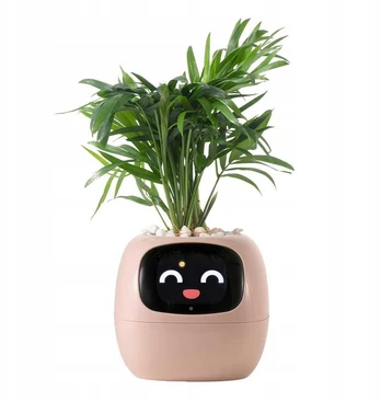 Kwiatydonice PlantsIO IVY Różowa