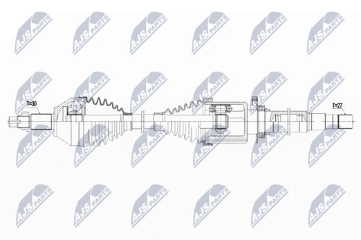 Pusašis NTY NPW-AR-010