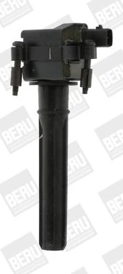 Ritė, uždegimas BorgWarner (BERU) ZS432