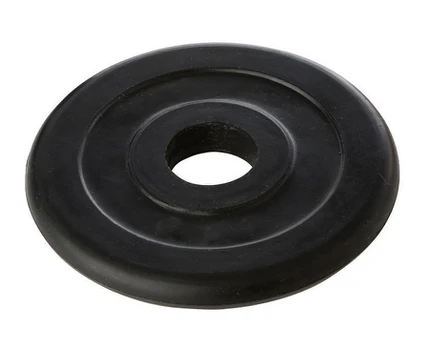 TREMBLAY D28mm 10kg Svorio diskas