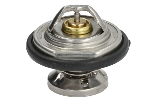 termostatas, aušinimo skystis THERMOTEC D2M005TT