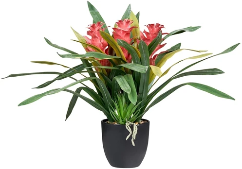 Beliani Dirbtinis augalas GUZMANIA ATILLA 50 cm Žalias