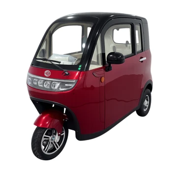 Elektrinis triratis mini automobilis RIDE-E DOMI (EEC)