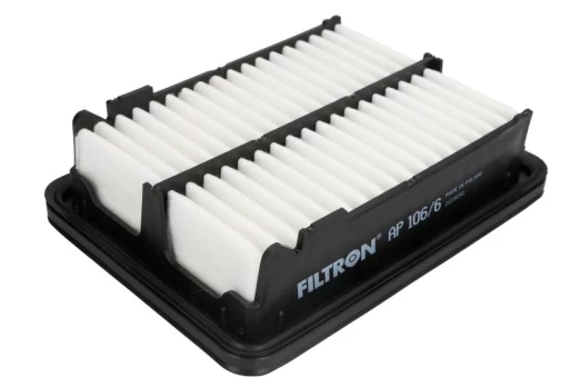 Oro filtras FILTRON AP106/6