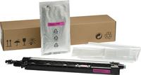 Hewlett Packard (HP) A3 LLC LJ Developer Unit Magenta