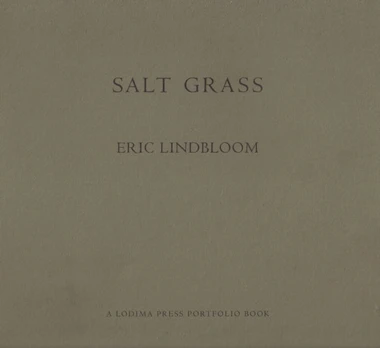 Salt Grass