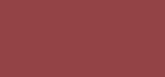 L'Oreal Colour Riche Blurred Matte Lipstick 4.3 g