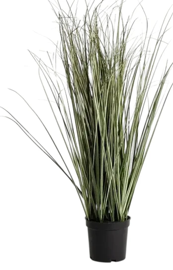 Dirbtinis augalas vazone Homla Basic Viridis, žalia sp., 63 cm x 11 cm