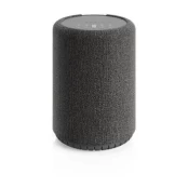 Kolonėlė Audio Pro A10 MkII kaina