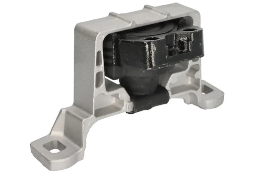 Variklio montavimas DELPHI TEM265