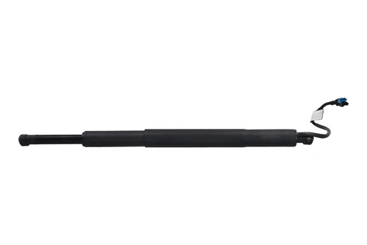 Galinių durų elektros variklis KAMOKA 7094112