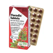 Geležies tabletės FLORADIX, 84 tabletės kaina