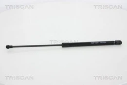 Dujinė spyruoklė, bagažinė TRISCAN 8710 66207
