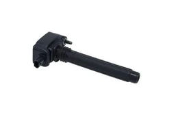 Ritė, uždegimas BOSCH 0 221 504 048