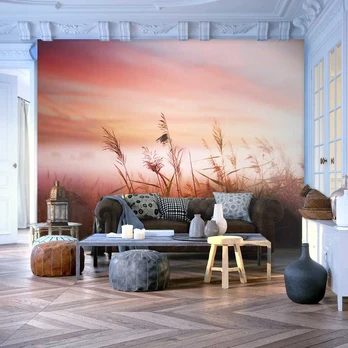 Artgeist Fototapetas - Morning meadow