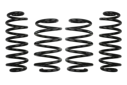 Lowering spring (30/30 mm) Pro-Kit E10-15-007-01-22 (4 pcs), fits: AUDI A3 05.03-08.12