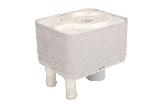 Alyvos radiatorius THERMOTEC D4A005TT