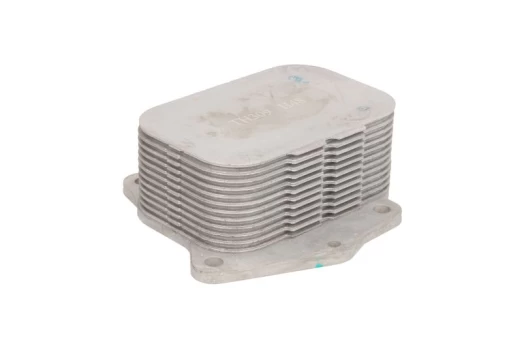 Alyvos radiatorius THERMOTEC D4P001TT
