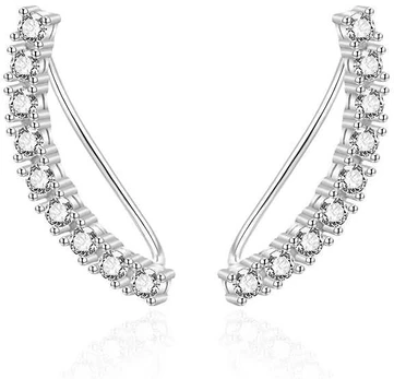 Agato Shiny long sidabrinis earrings AGT-E083VW