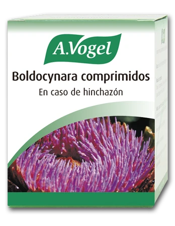 A. VOGEL Bioforce Boldocynara 60 Comp