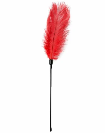 Easytoys Passkey Raudona Feather Tickler