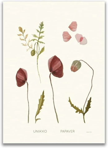 Botanikos plakatas