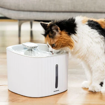 NAMINIŲ GYVŪNĖLIŲ GĖRIMO FONTANAS DRINKATT INNOVAGOODS