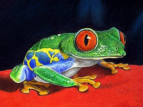 Deimantinis paveikslas WD317 40x30 cm