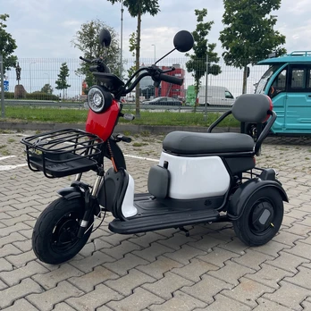 Elektrinis triratis A3 650W 48V 20AH