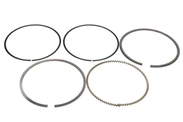 MAHLE 040 16 N0 Piston ring set kaina