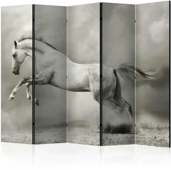 Artgeist Pertvara - Wild Stallion II [Room Dividers]