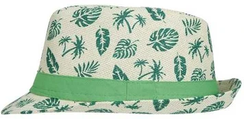Fiesta Tropisk hat