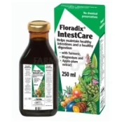 Maisto papildas FLORADIX INTESTCARE 250ml kaina