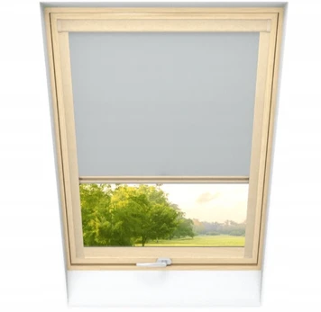 Stogo roletas Premium 90x100 Thermo, užtemdantis
