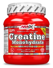 Amix Creatine Monohydrate, 500 g kaina