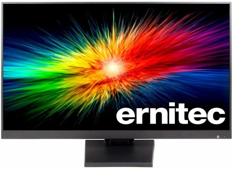 Ernitec 22" Surveillance monitorius for