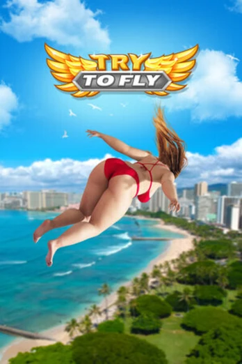 Try to Fly PC