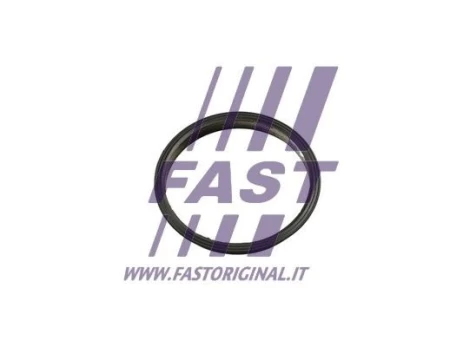 Tarpiklis, vakuuminis siurblys FAST FT49853
