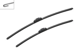 Valytuvai BOSCH 3397007565