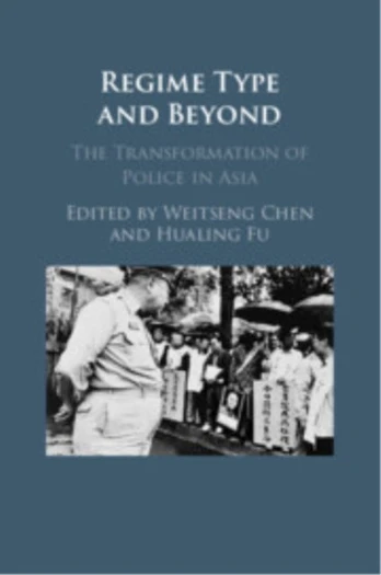 Regime Type and Beyond