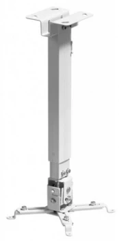 Tvirtinimas Reflecta Universal Ceiling Mount TAPA kaina