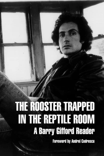 Rooster Trapped In The Reptile Room
