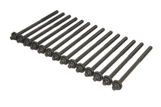 ELRING EL234640 Cylinder head bolt set