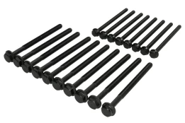 REINZ 14-32341-01 Cylinder head bolt set kaina