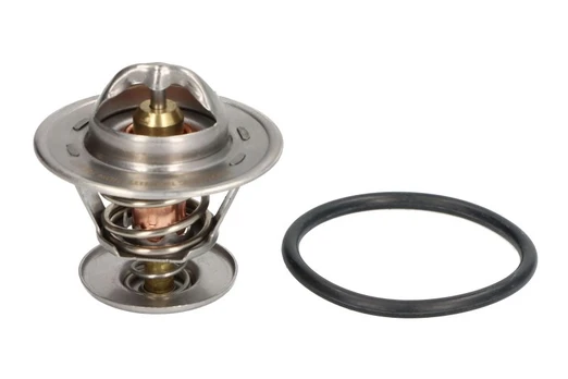 termostatas, aušinimo skystis THERMOTEC D2W011TT