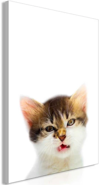 Artgeist Paveikslas - Vexed Cat (1 Part) Vertical