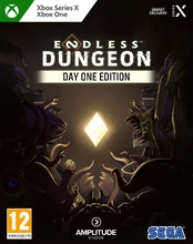 Endless Dungeon kaina