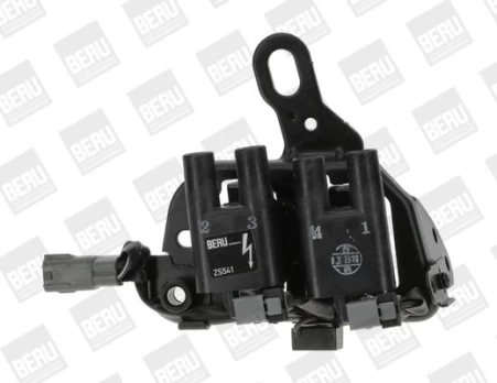 Ritė, uždegimas BorgWarner (BERU) ZS541