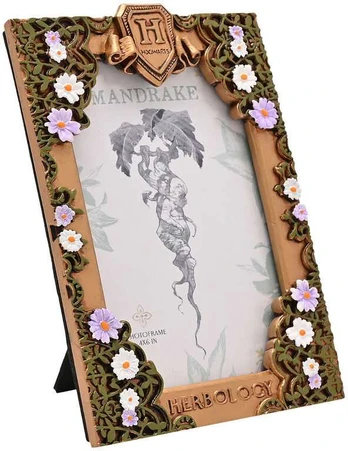 Widdop Co Harry Potter Herbology photo frame