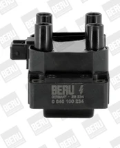 Ritė, uždegimas BorgWarner (BERU) ZS234